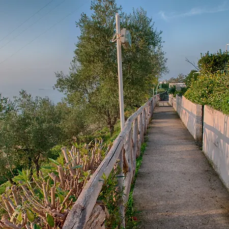 Gocce Di Capri Aparthotel